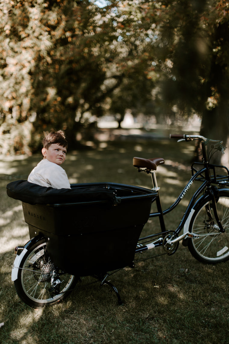 Meet FINN : Disability Awareness Month 2022