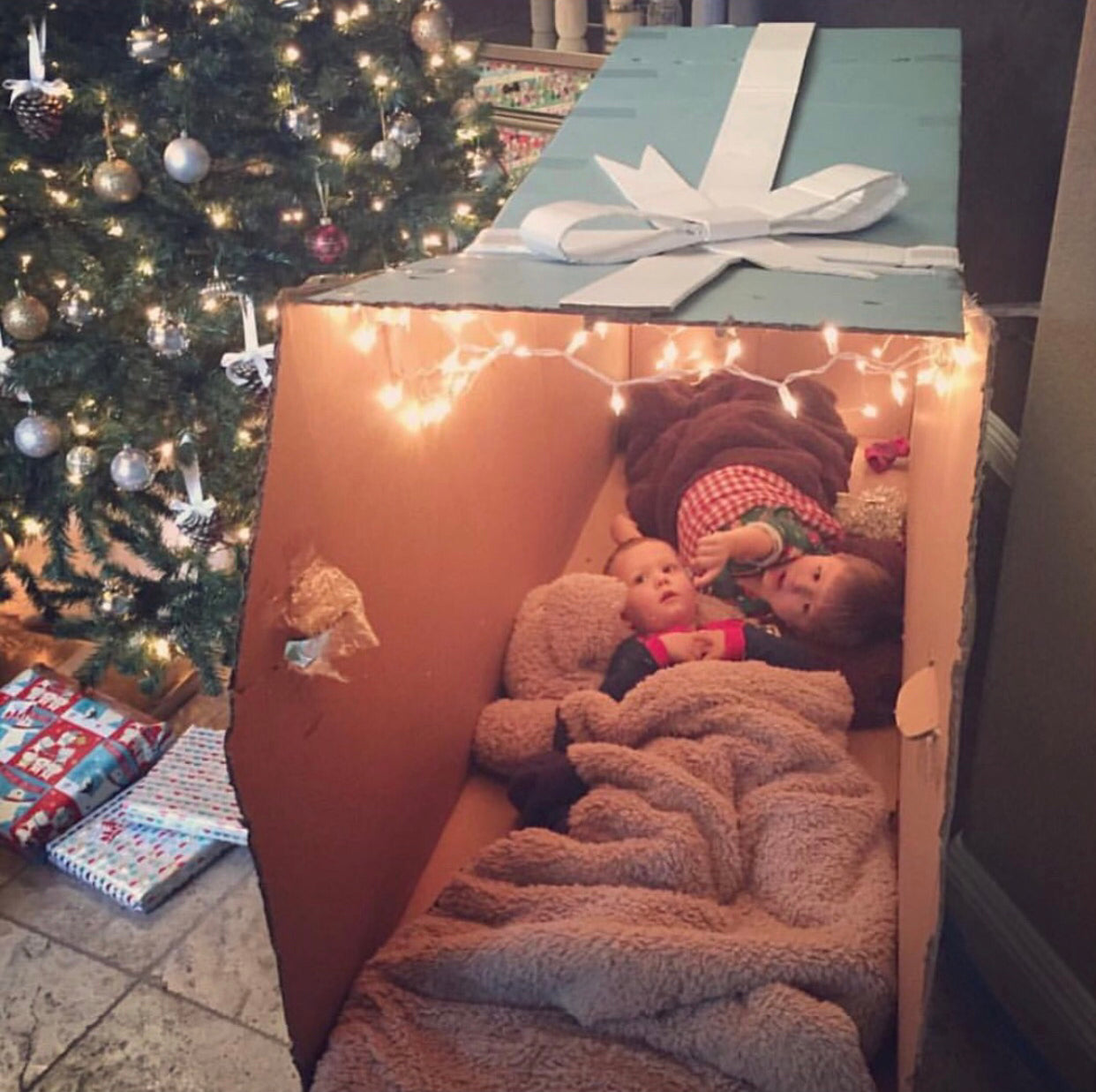 bucket bike holiday christmas cargo bike