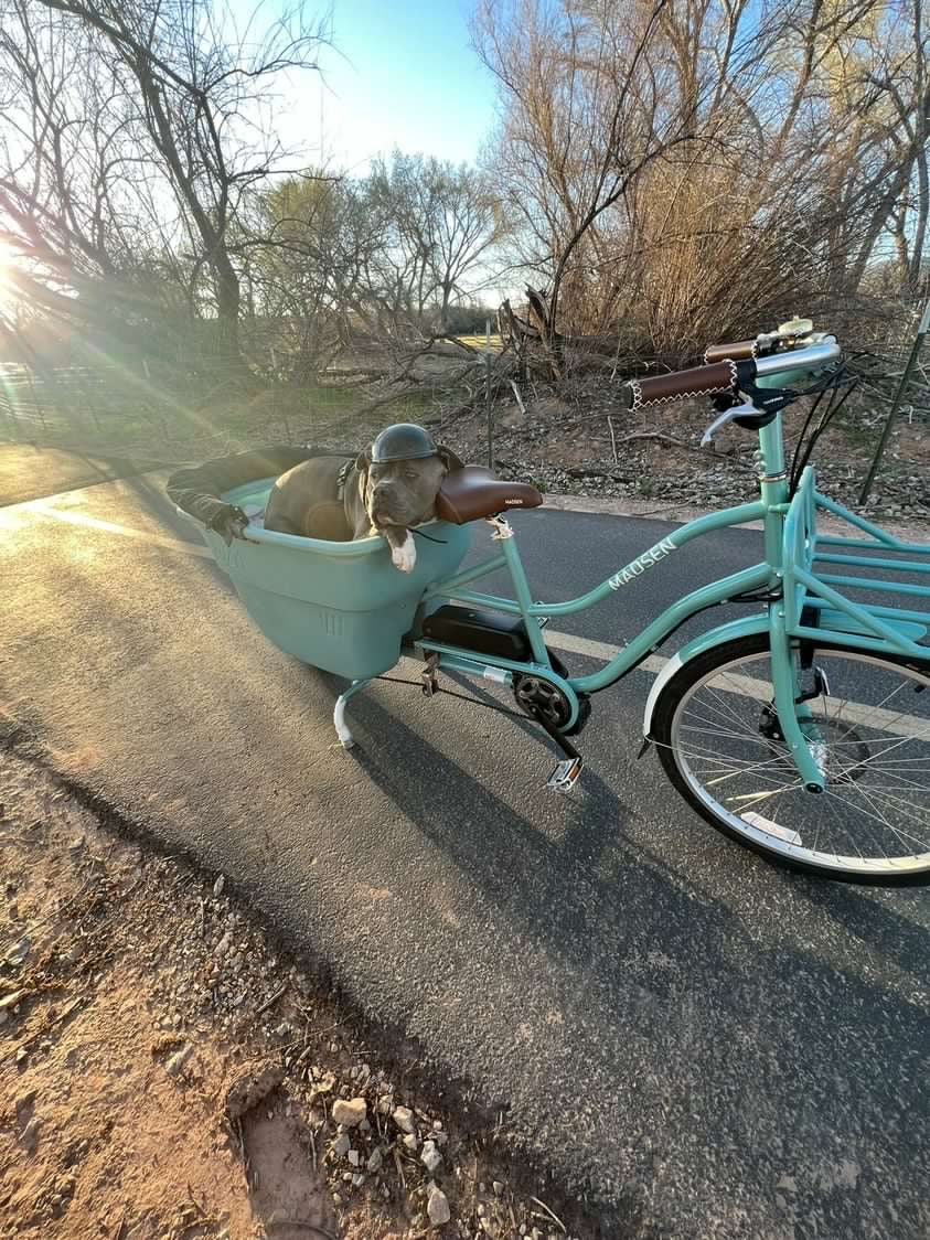 Middle Bucket Seat Accessory - "Pet Seat"