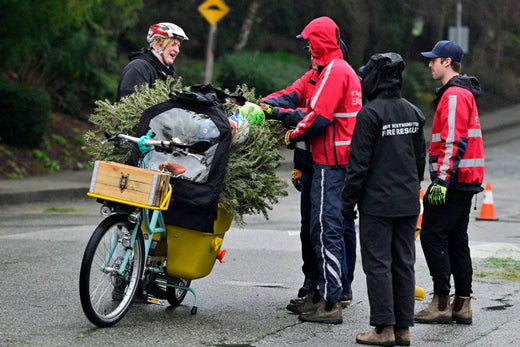 Sarah Kift takes her Christmas Tree by Bike for Chipping